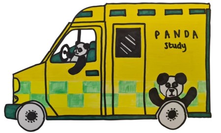 PANDA Study Logo.jpg